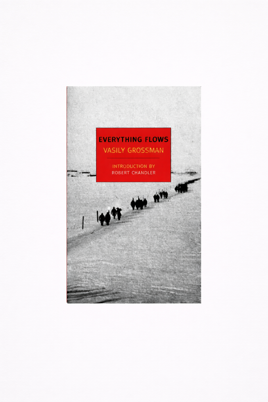 Vasily Grossman - Everything Flows