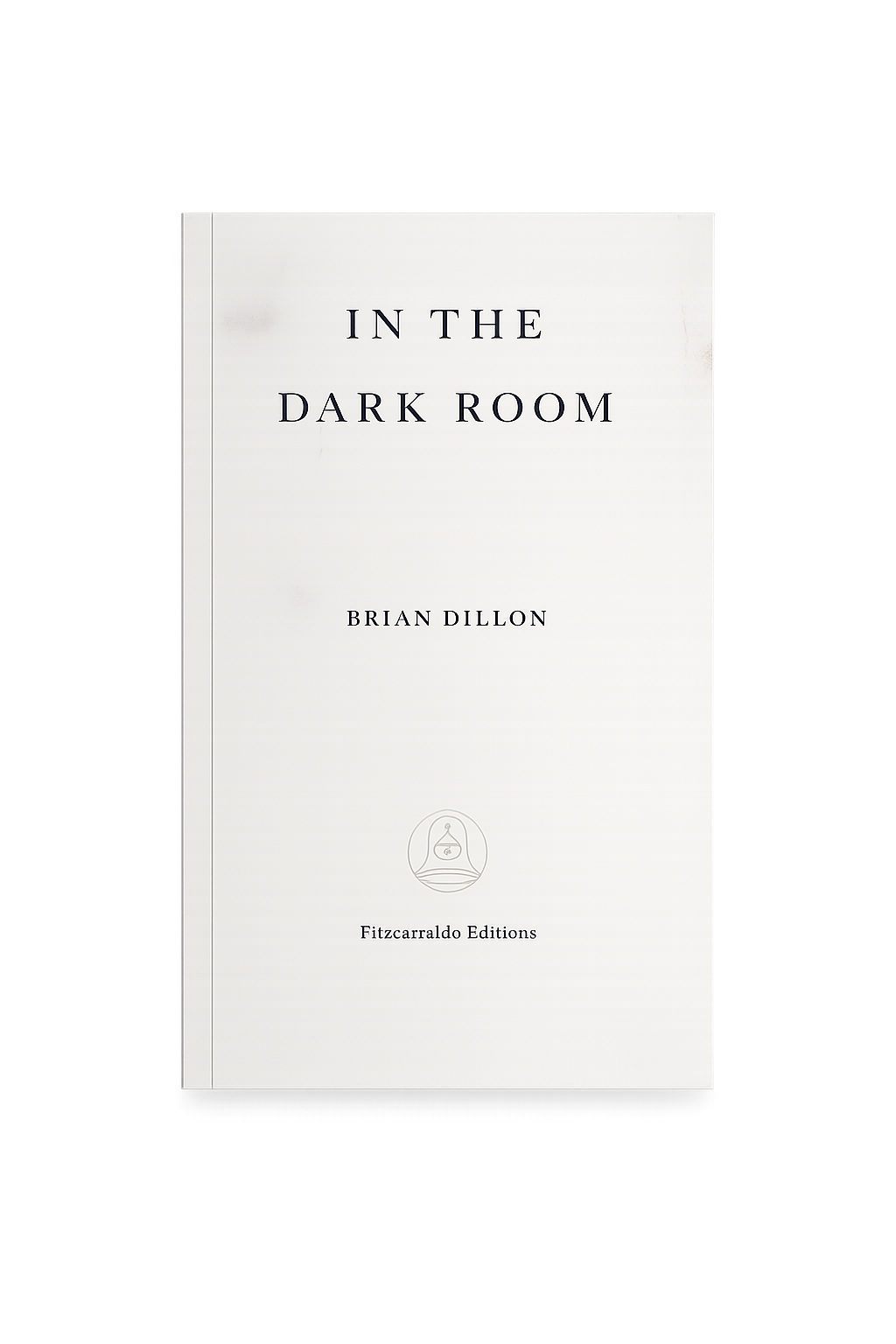 Brian Dillon - In the Dark Room