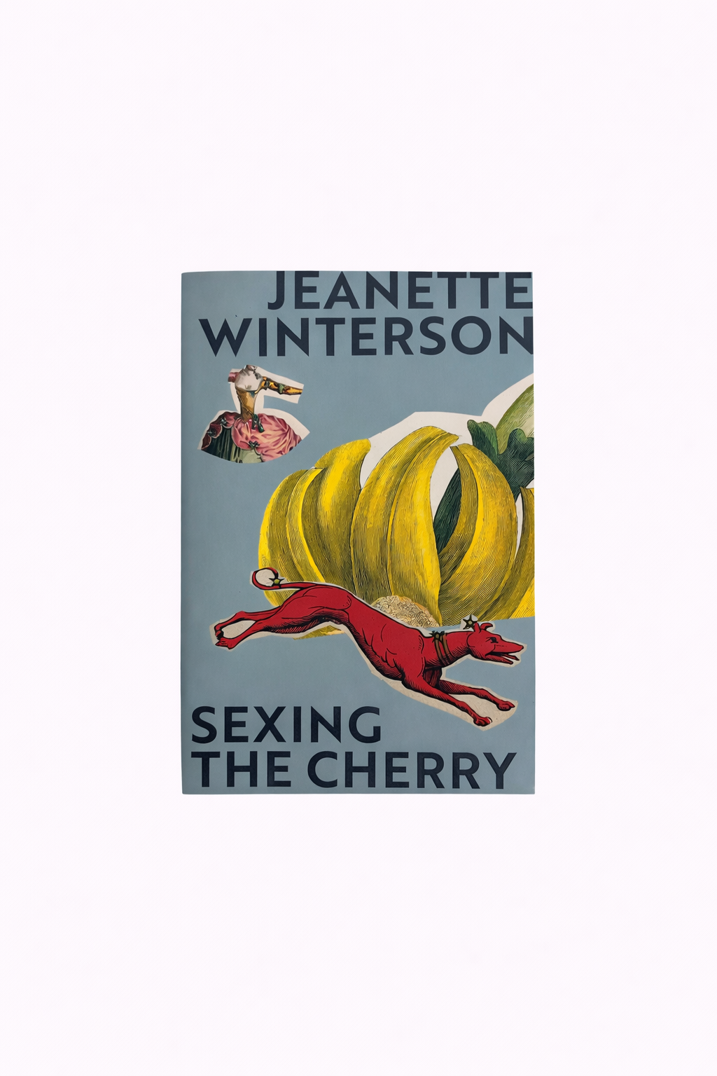 Jeanette Winterson - Sexing the Cherry